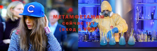 прущие грибы Балабаново