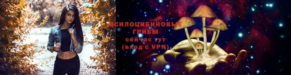 прущие грибы Балабаново