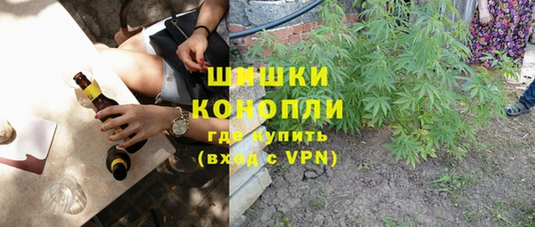 трава Арсеньев