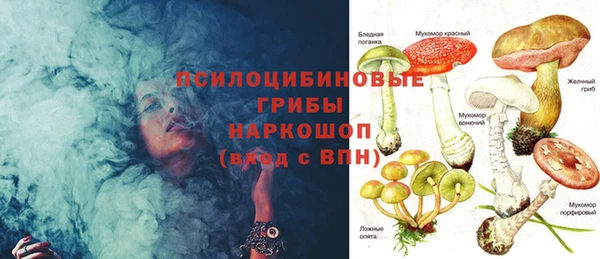 стафф Аркадак