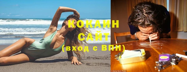 прущие грибы Балабаново