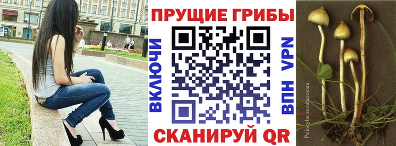 Галлюциногенные грибы ЛСД  цены   Нижняя Тура 